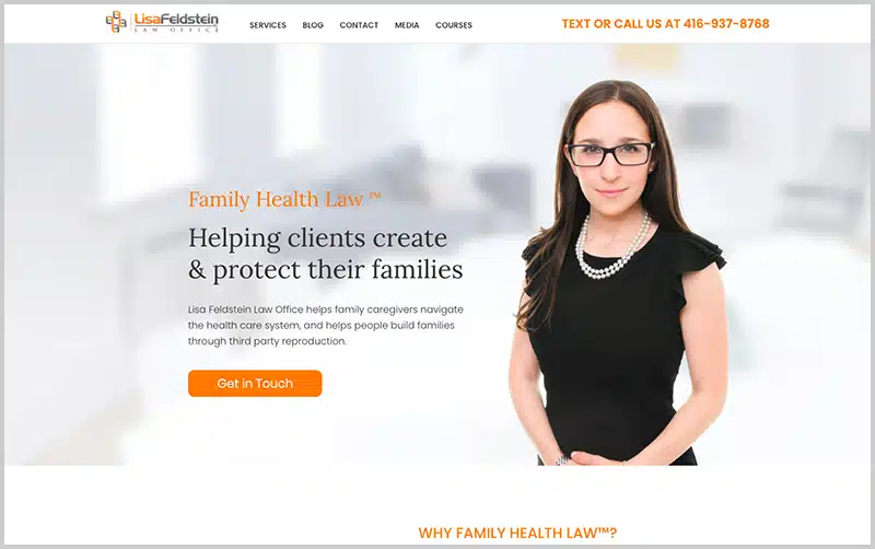 lisa-feldstein-best-law-firm-websites