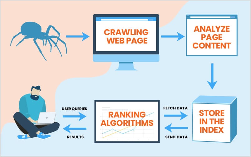 How spiders crawl websites